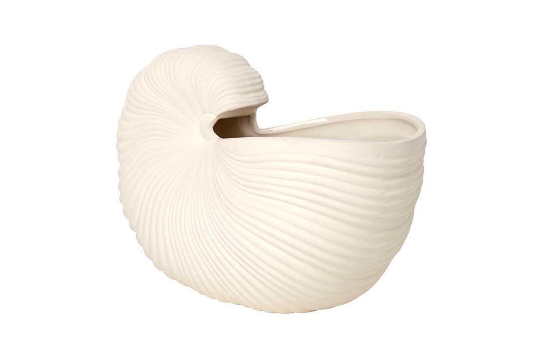 Vase Shell Pot